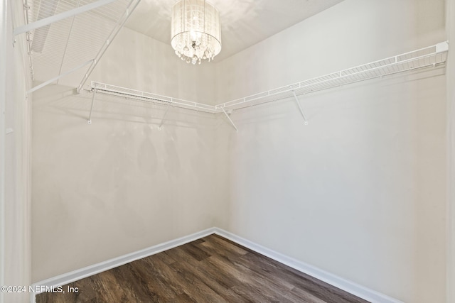 walk in closet featuring hardwood / wood-style flooring and a notable chandelier