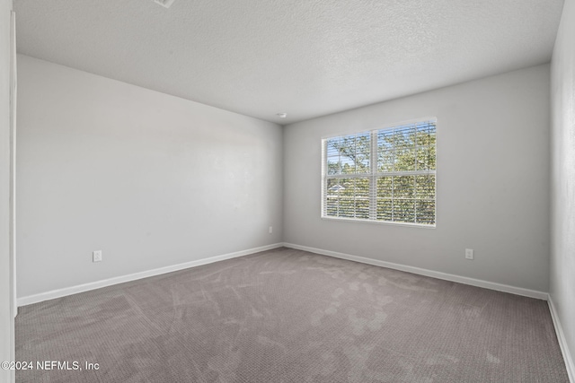 empty room with carpet flooring and a textured ceiling