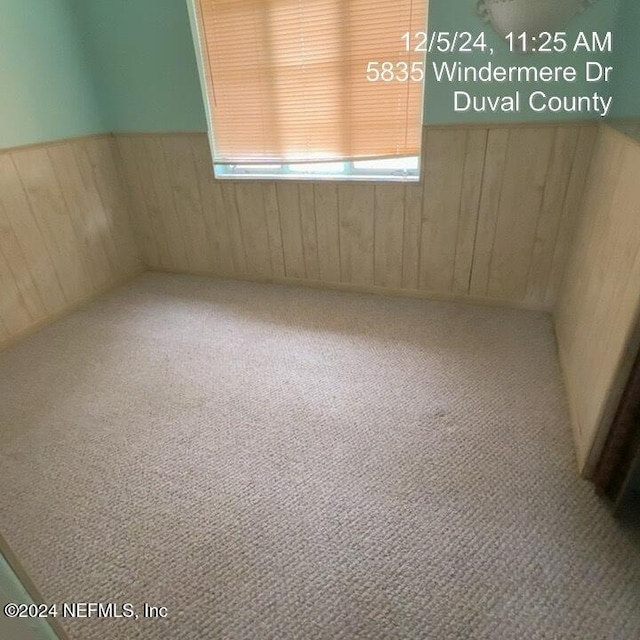 unfurnished room with wood walls and carpet floors