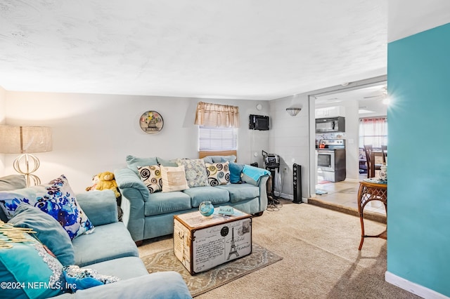 living room with light carpet