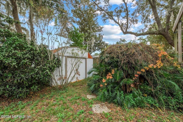 view of yard with a storage shed