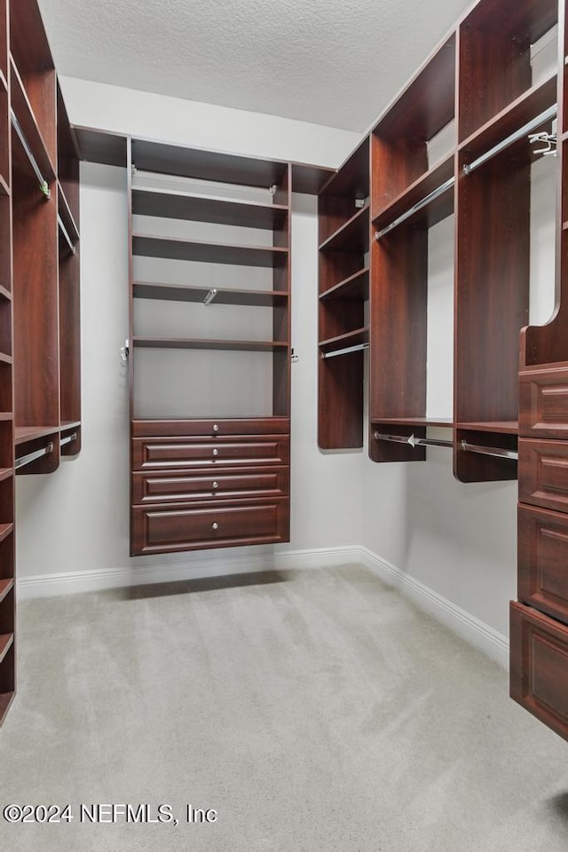 spacious closet featuring light colored carpet