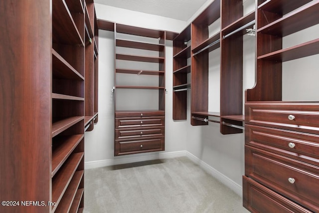 spacious closet featuring light carpet