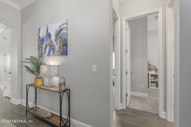 hallway featuring dark hardwood / wood-style flooring and ornamental molding