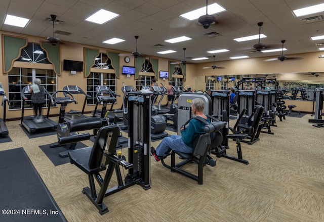 gym featuring ceiling fan, a drop ceiling, and light carpet