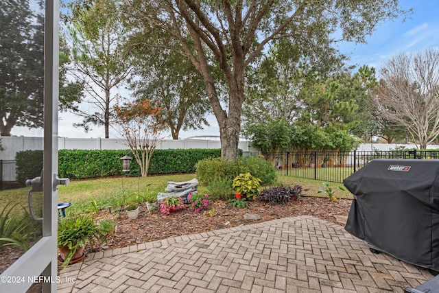 view of patio / terrace with area for grilling