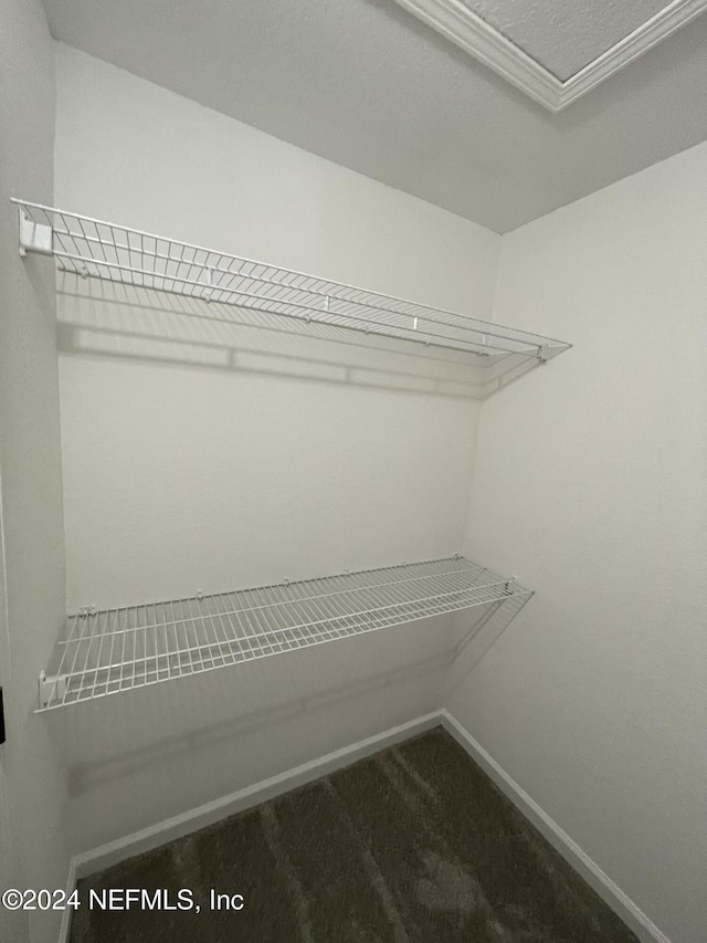 walk in closet with carpet