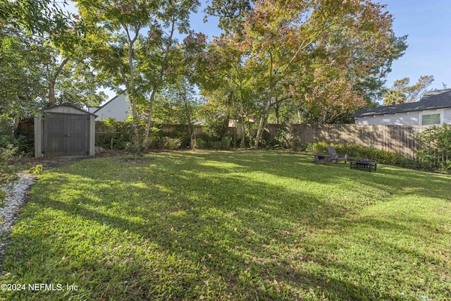 view of yard featuring a storage shed