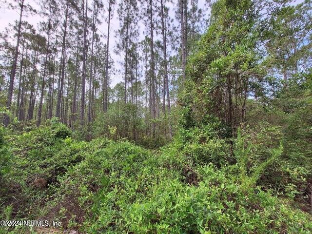 107 Mosswood St, Georgetown FL, 32139 land for sale