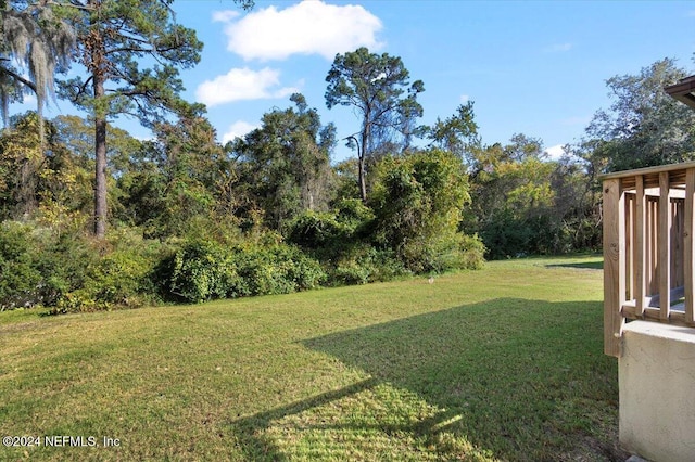 view of yard