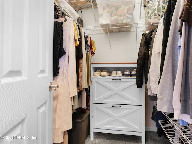 spacious closet featuring carpet