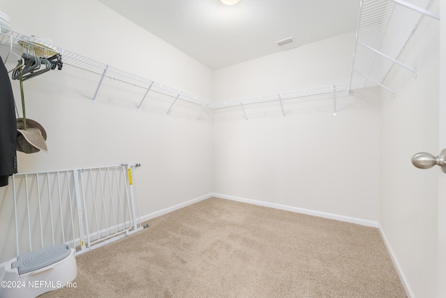 spacious closet with carpet floors