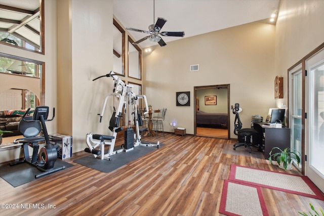 exercise room with hardwood / wood-style flooring, high vaulted ceiling, ceiling fan, and a healthy amount of sunlight