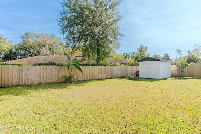 view of yard featuring a storage unit