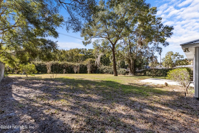 view of yard with a patio area