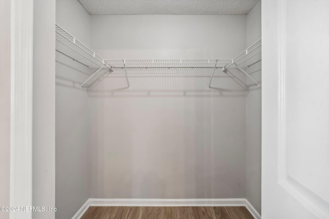 spacious closet featuring hardwood / wood-style flooring