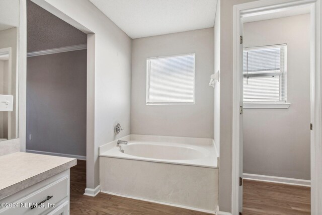 bathroom with hardwood / wood-style flooring, vanity, a tub, and a wealth of natural light