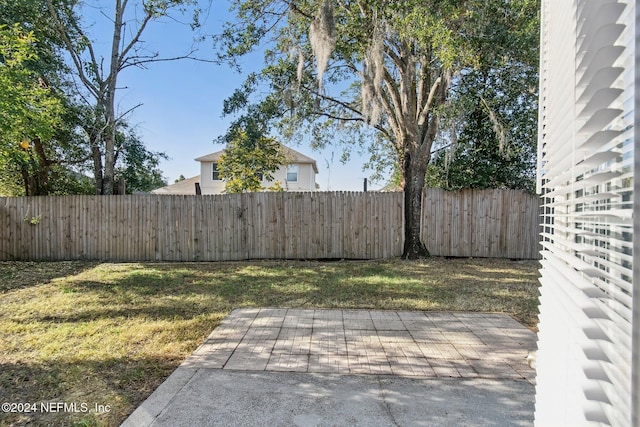 view of yard with a patio area