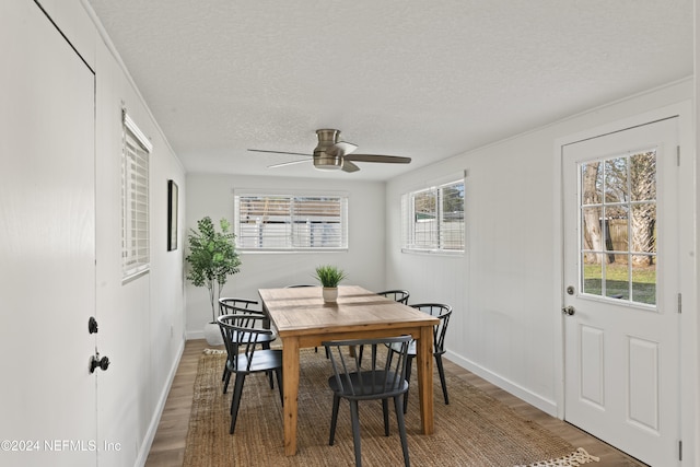 dining space with ceiling fan, a textured ceiling, wood-type flooring, and a healthy amount of sunlight