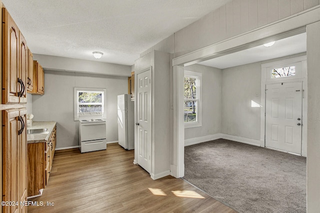 foyer entrance featuring plenty of natural light, a textured ceiling, and light hardwood / wood-style flooring