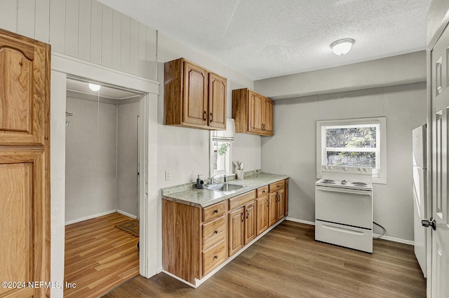 kitchen featuring hardwood / wood-style floors, sink, white electric stove, and a textured ceiling