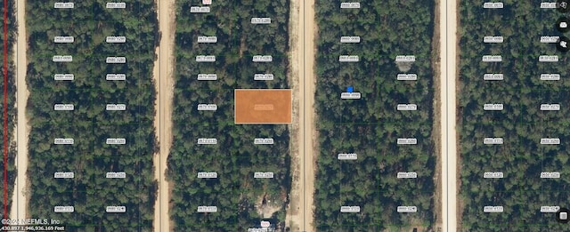 Listing photo 3 for 000 Neilsen Ave, Interlachen FL 32148