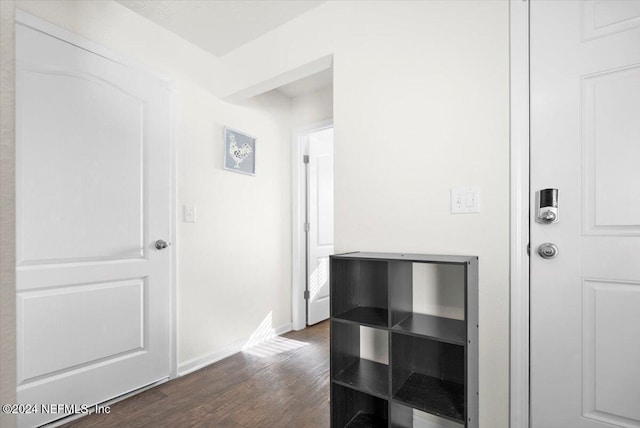 corridor featuring dark wood-type flooring