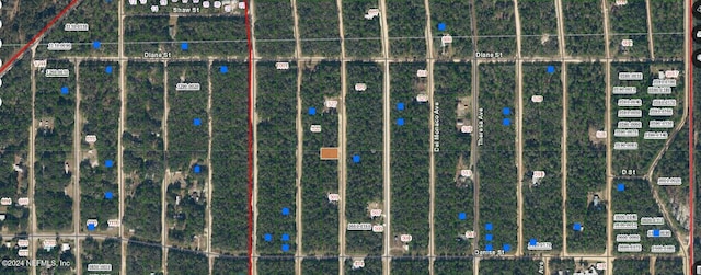 0000 Neilsen Ave, Interlachen FL, 32148 land for sale