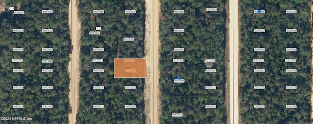 Listing photo 2 for 0000 Neilsen Ave, Interlachen FL 32148