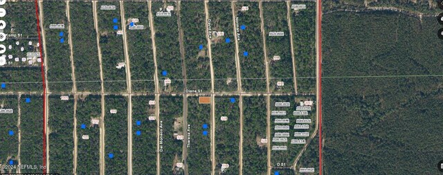 Listing photo 2 for 00000000 Norman Ave, Interlachen FL 32148