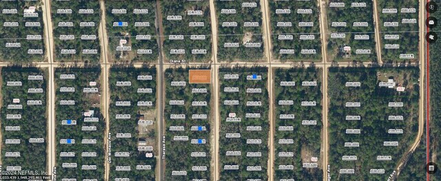 Listing photo 3 for 00000000 Norman Ave, Interlachen FL 32148