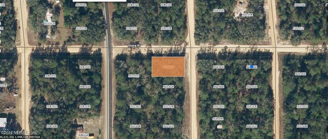 00000000 Norman Ave, Interlachen FL, 32148 land for sale