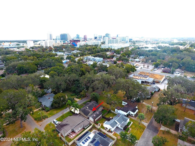 bird's eye view