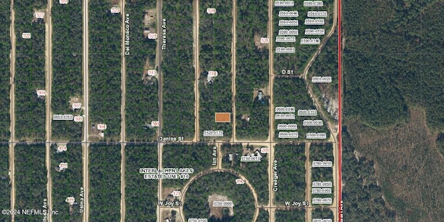 Listing photo 3 for 000000000 Norman Ave, Interlachen FL 32148