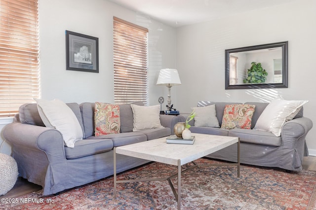 living room with wood-type flooring