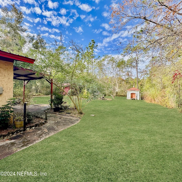 view of yard with a shed