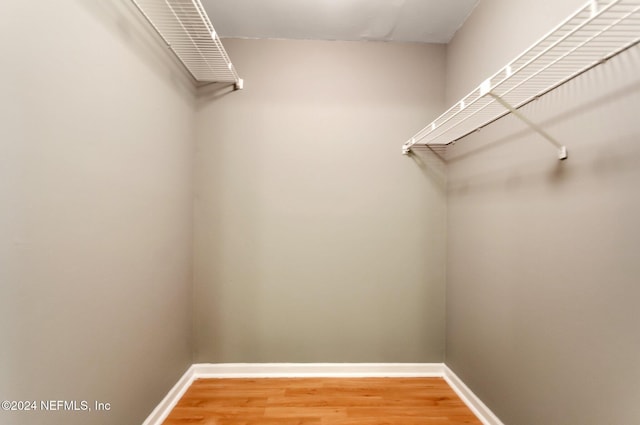 walk in closet with hardwood / wood-style flooring