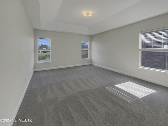 spare room with carpet and a raised ceiling