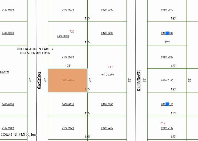 716 Brett Ave, Interlachen FL, 32148 land for sale