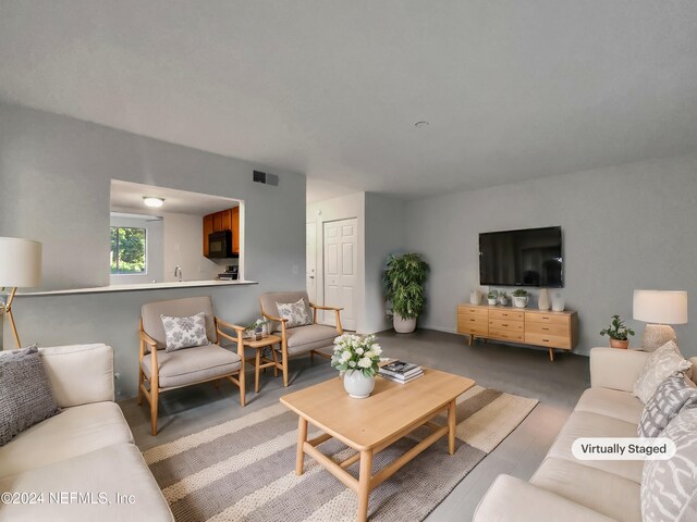 8849 Old Kings Rd S Unit 181, Jacksonville, FL 32257 - view of living room