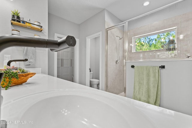 bathroom featuring sink, toilet, and walk in shower