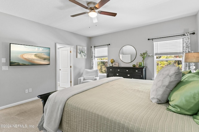 carpeted bedroom with ceiling fan and multiple windows