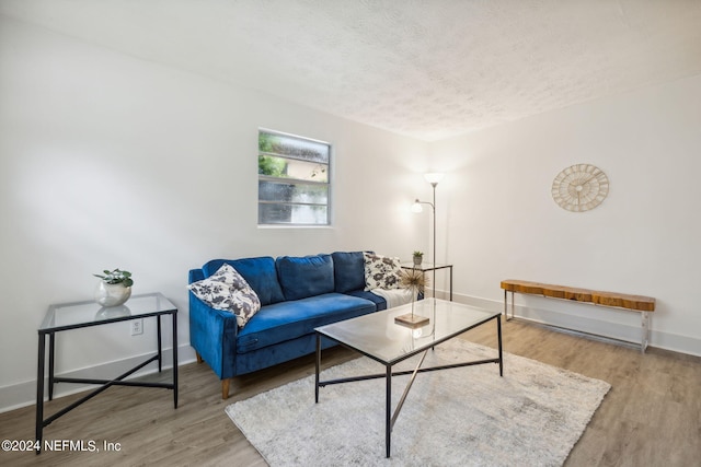 living room featuring hardwood / wood-style floors and a textured ceiling