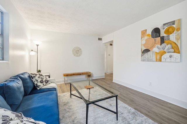 living room with wood-type flooring and a textured ceiling