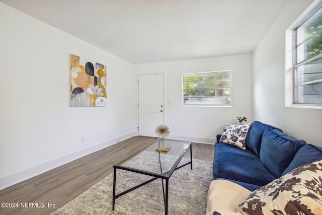 living room featuring wood-type flooring