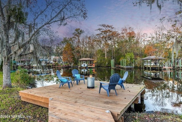 dock area with a water view