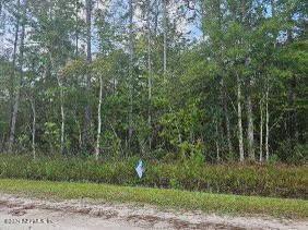 4245 Florence St, Hastings FL, 32145 land for sale