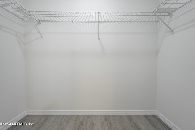 spacious closet with wood-type flooring