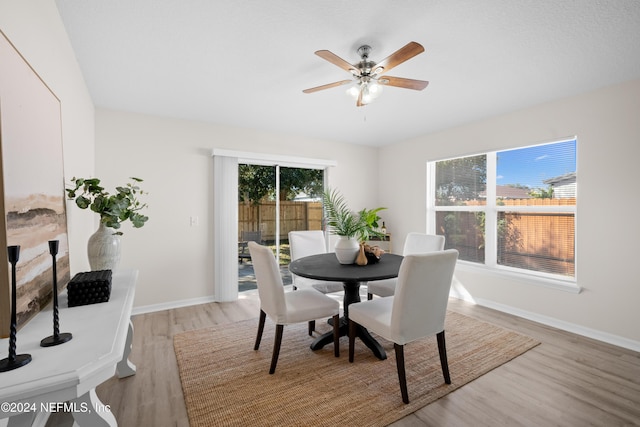 dining space featuring light hardwood / wood-style flooring, a wealth of natural light, and ceiling fan