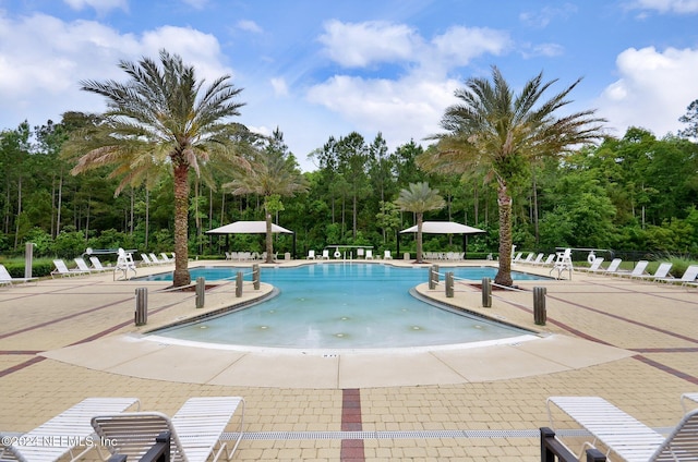 view of pool featuring a patio